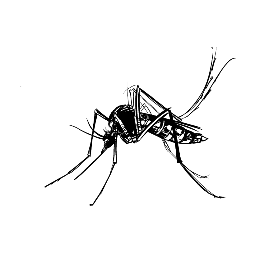 <div>Ticks, Fleas &amp; Mosquito Control</div>
