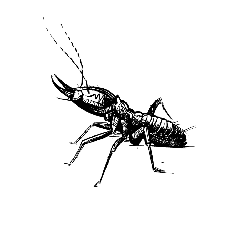 <div>Termite Control</div>
