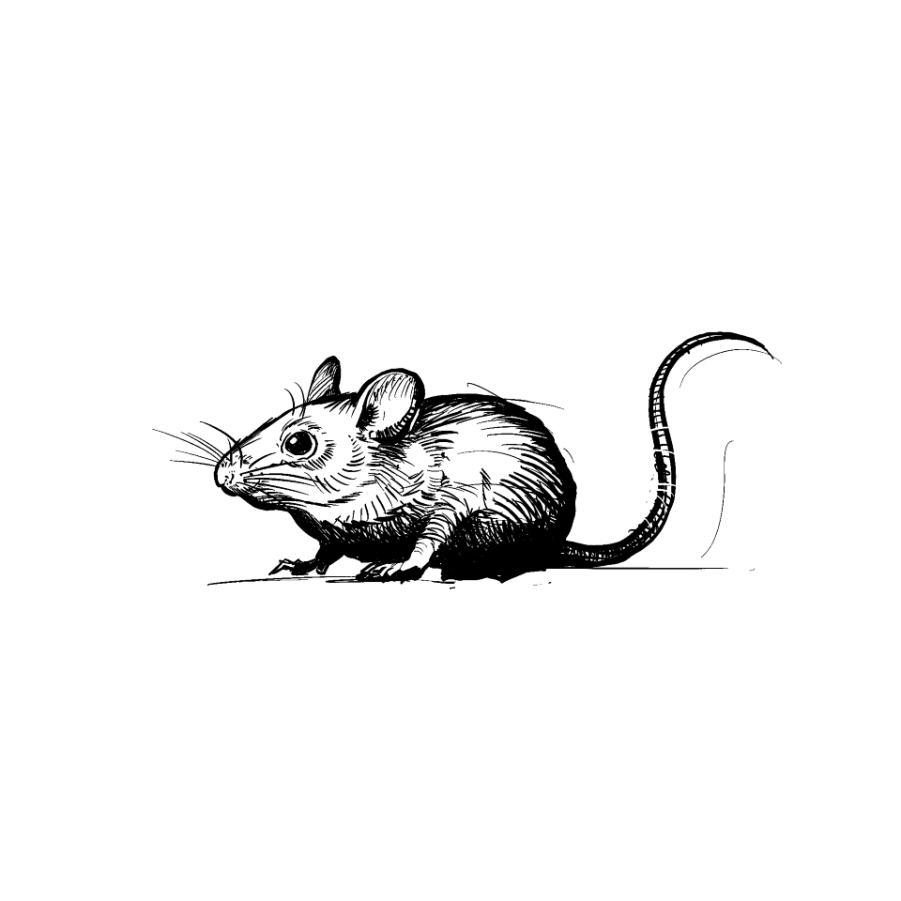 <div>Rodent Control</div>

