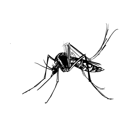 Ticks, Fleas &amp; Mosquito Control
