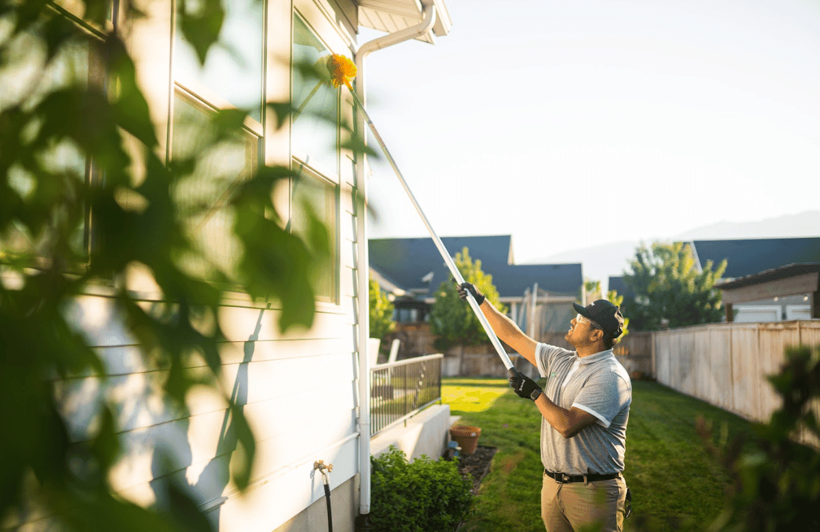 Pest Control Solutions Guaranteed
